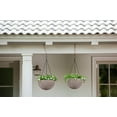 thumbnail image 4 of Hanging Rattan Resin Planter Set of 2, Sandy Beige, 4 of 6