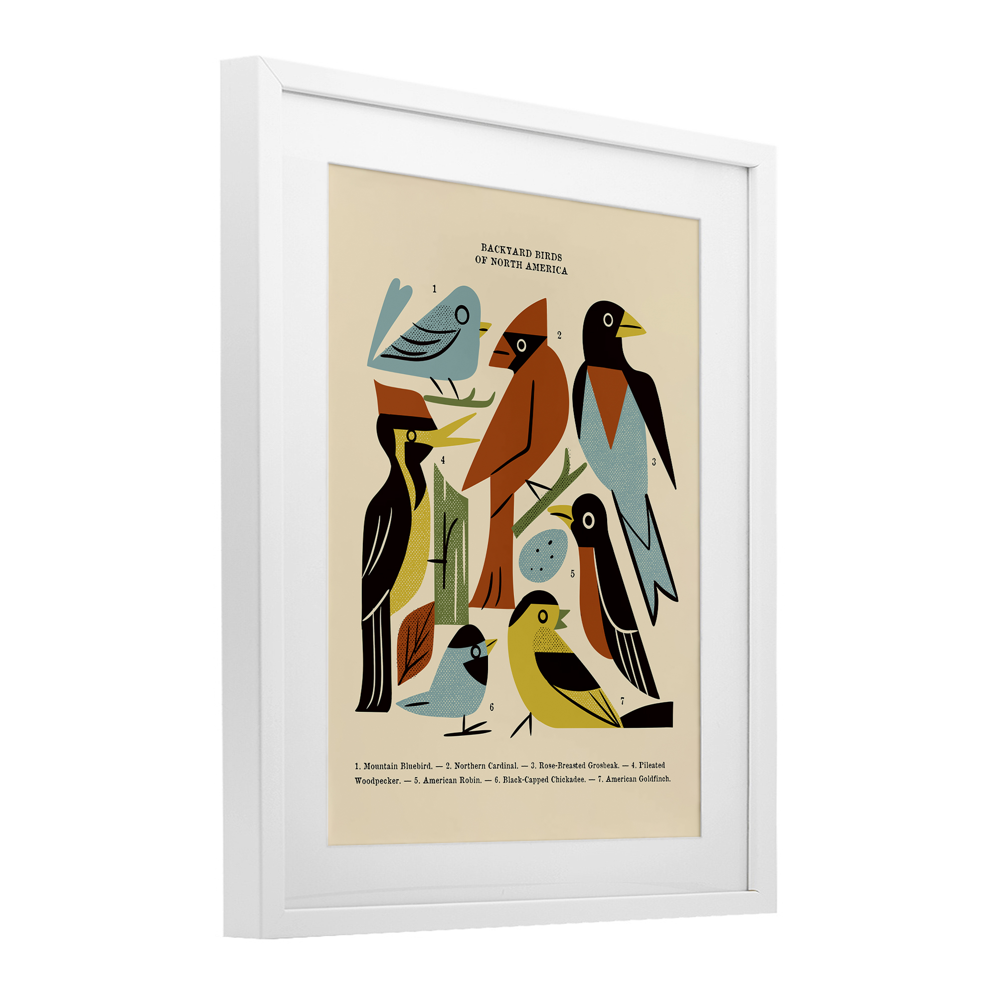 Backyard Birds Midcentury Modern White Framed Print Under Glass, design by Renea L. Thull