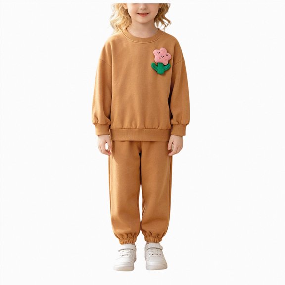 yboeqw Toddler Child Girls Outfit Sets Warm Cute Print Fall Winter Casual Sweatshirts and Pants for Girls,Size 2-3 Years