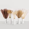 thumbnail image 6 of 130 Pcs Natural Pampas Grass Bouquet Decor Boho Home Decor Dried Reed Flowers Bouquet for Wedding Floral Arrangements Wall Bathroom Décor, 6 of 6
