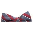 thumbnail image 2 of Ryan Seacrest Distinction Mens Matera Silk Plaid Bow Tie Red O/S, 2 of 3