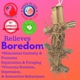 thumbnail image 4 of Bonka Bird Toys 3858 Duo Natural Boxy Eddy, 4 of 7