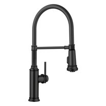 Empressa Semi Pro Single Handle Gooseneck Pull-Down Sprayer Kitchen Faucet, Matte Black