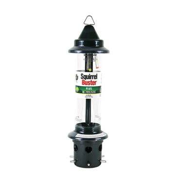 Brome Squirrel Buster Plus Bird Feeder with Cardinal Perch Ring, Squirrel Proof