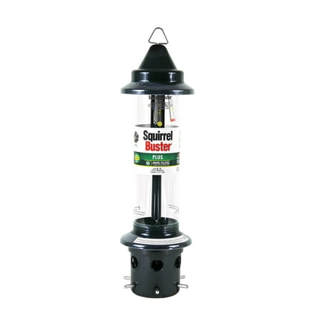 Brome 1024 Squirrel Buster Plus Wild Bird Feeder with Cardinal Perch Ring