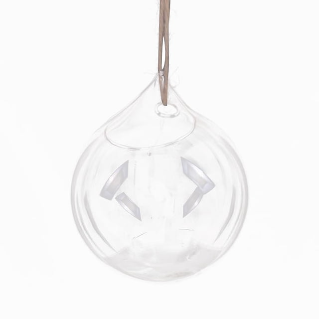 Hanging Glass Propagation Station Clear Terrarium Planter for Flowers Air Hydroponic Plants Small Indoor Flower Vase for Home Room Window Office Decor