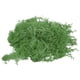thumbnail image 1 of Uxcell 0.35 OZ Musgo Falso Musgo Artificial Musgo Natural Conservado para Proyectos de Artesanía Floral DIY (Verde), 1 of 7