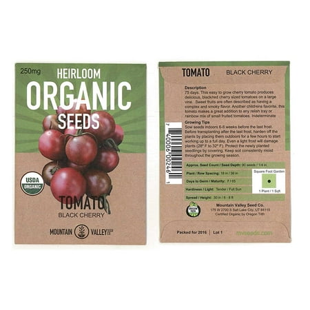 Tomato Garden Seeds -Black Cherry - 250 mg Packet - Non-GMO, Organic Vegetable Gardening
