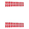 thumbnail image 4 of Jumpingount 24 piezas de bailarina resistente a los arañazos Prensa en las uñas DIY Acrílico Nail 16red Type2 NO2, 4 of 6