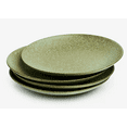 thumbnail image 2 of Oake Dinner Plates Unique Style Stoneware Glazed Set of 4, 2 of 3