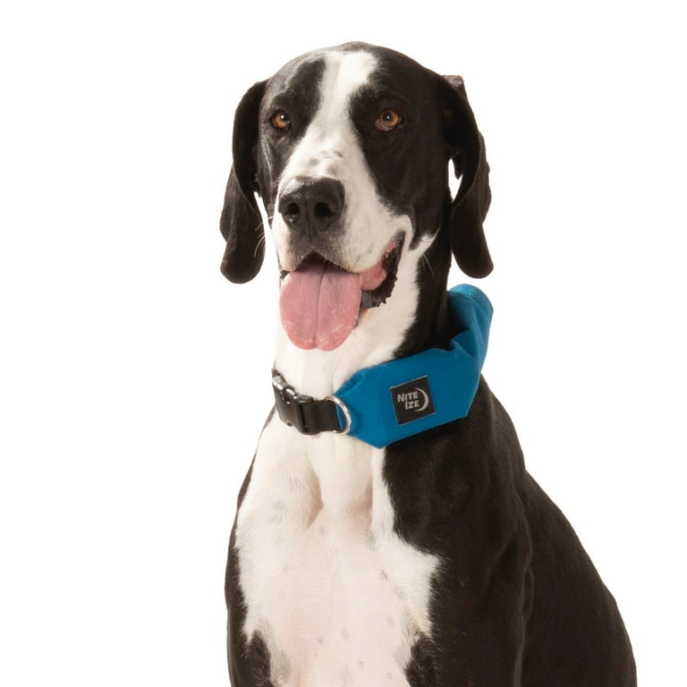 Nite ize best sale raddog