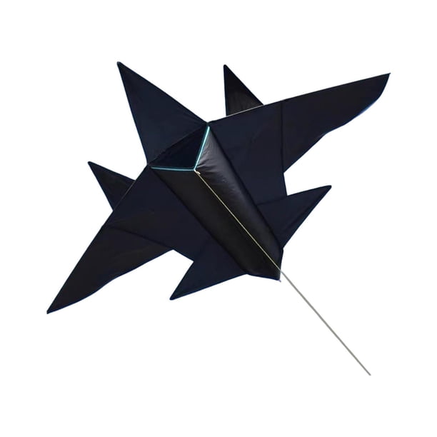 Jet Plane Kite Single Line Flying Juguete Fácil de volar en gran tamaño Toyos deportivos Cometa delta de los aviones para niños Beach Park Niños Niños Grande