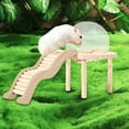 thumbnail image 4 of oshhni Glass Hamster House with Wooden Ladder for Chipmunk Guinea Pig Small Animals L, 4 of 8