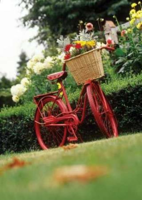 Vintage Bicycle Ii