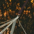 thumbnail image 3 of FUTUREORYY 4Pcs Nylon Hammock Suspension Straps Tree Swing Belt for Camping, 3 of 4