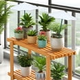 thumbnail image 4 of Plant Umbrellas for Outdoor Plants Outside Spring Flower Plant Shade 10.5 Inch UV-Resistent Patio Porch Garden Sun Umbrella Cover for Pots Outdoor Plants Garden Beds Houseplants, 4 of 5