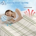 thumbnail image 3 of Sage Green Striped Cooling Blanket, Lightweight Breathable Summer Throw Blanket with Double Sided Cold Effect,Modern Farmhouse Green Stripes Picnic Beach Blankets Bed Sheet for Hot Sleepers 40"x60", 3 of 8