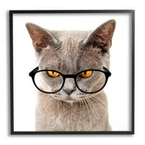Stupell Cat Face Hipster Glasses Animals & Insects Painting Black Framed Art Print Wall Art