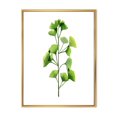 thumbnail image 1 of Designart Feuillage des plantes de champ vert ART MURAL À CADRE FLOTTÉ, 1 of 4