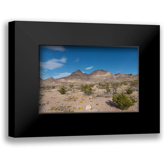 Highsmith, Carol 14x11 Black Modern Framed Museum Art Print Titled - Scenery in Big Bend National Park, TX