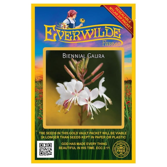 Everwilde Farms - 50 Biennial Gaura Native Wildflower Seeds - Gold Vault Seed Packet