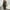 Yellow, variant on AOOCHASLIY Fall Savings Clearance,Women Fashion Lace-up V-neck Long Sleeve Mid-Calf Long Dress