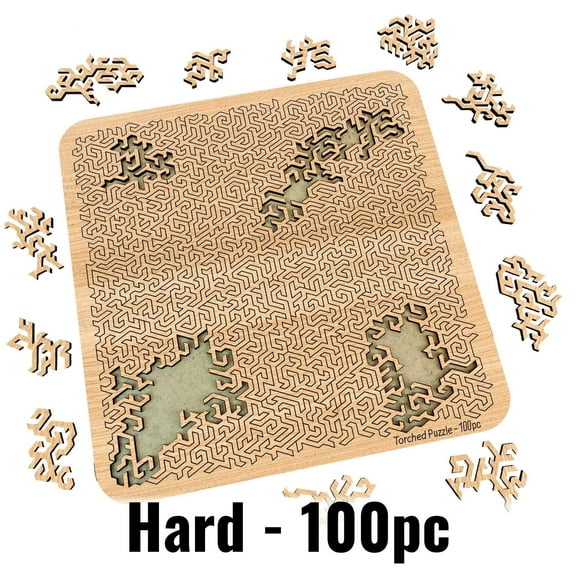 Mind Bending Cerebral Meltdown Puzzle