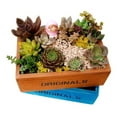 thumbnail image 4 of Maceta para suculentas, maceta de madera para suculentas, maceta de madera para cactus, maceta probada profesionalmente, 4 of 9