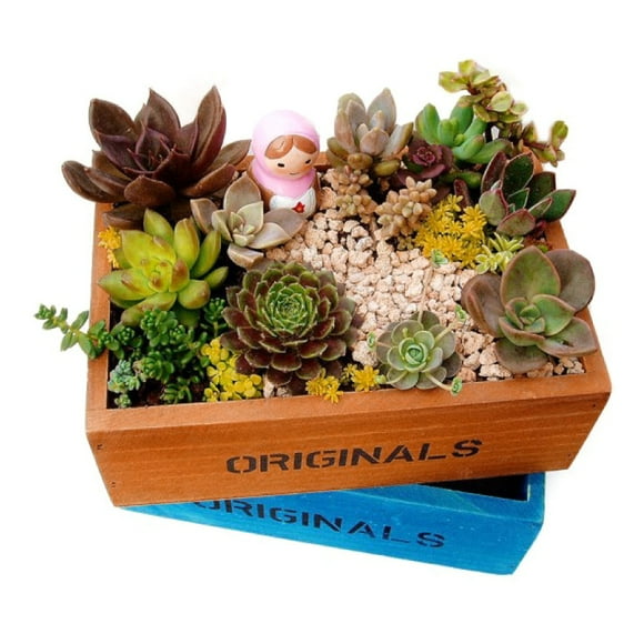 Wear Resistant Succulent Planter Succulent Planter, Succulent Flowerpot For Home Decorative Gardening Micro Landscape