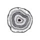 thumbnail image 1 of Cocina Alfombra de Piso Grande Árbol Alfombra Todo el Año, Dormitorio Familiar, Estudio Al Aire Libre, Alfombra Circular de Balcón, Alfombra de Piso Lavable Antideslizante (80cm Circular) Alfombras De, 1 of 7