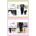 thumbnail image 4 of Pet Dog Explosion-Proof Leash Pet Leash Waist Crossbody Free Hands Dog Leash Green Camouflage, 4 of 7