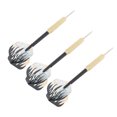 thumbnail image 1 of Steel Tip  Set Steel Tip  Set Darts Metal Tip Set Professional Shooting Metal Darts Set With Storage Case, 1 of 8