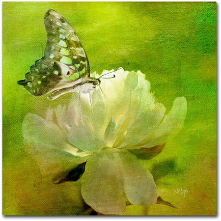 Trademark Fine Art