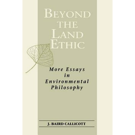 Environmental ethics essay