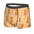 thumbnail image 2 of Bingfone Pineapples Men'S Underwear - Casual Stretch Boxer Briefs-X-Large, 2 of 9