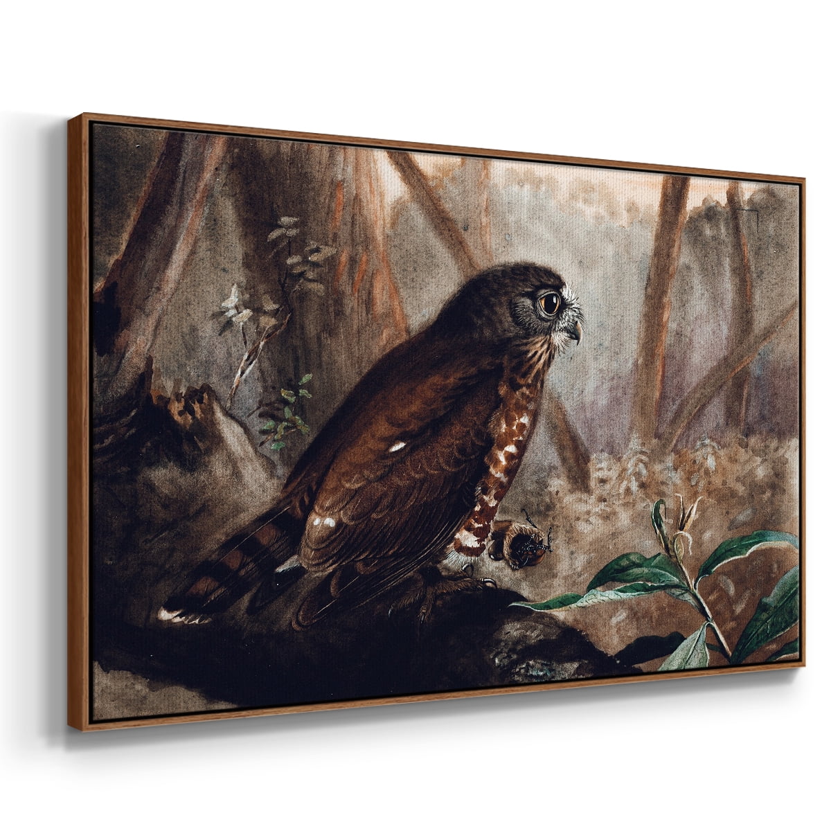 Vintage Animal Print-XVII By Wexford Home Framed in Walnut Wood Gallery Wrapped Canvas 25 in. x 37 in.
