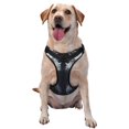 thumbnail image 1 of Balery Elegant Feathered Floral Wings Arnés para Perros Grandes Antitirones, Arnés con Correa para Gato, Arnés Tipo Chaleco para Perros Pequeños-Large, 1 of 6