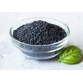 thumbnail image 4 of Organic Black Sesame Seeds, 0.5 Pounds — Non-GMO, Kosher, Raw, Vegan — by Food to Live, 4 of 6