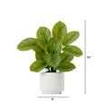 thumbnail image 2 of Nearly Natural 12in. Artificial Calathea Plant with Decorative Planter, Green, 2 of 7