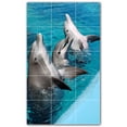 thumbnail image 1 of Picture-Tiles.com: Dolphin Ceramic Tile Wall Mural WAL500512-35XL. 36"W x 60"H using (15) 12" x 12" Ceramic Tiles-Satin Finish, 1 of 3