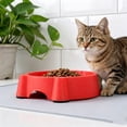 thumbnail image 4 of Cute Cat Face Plastic Pet Bowl, Small Non-Slip Feeding Dish for Kittens & Small Dogs, Easy Clean Pet Food Water Bowl, 4 of 7