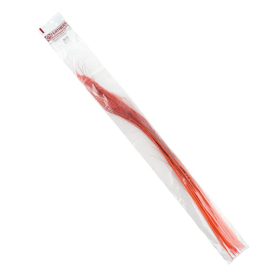 Zucker Feather Products Peacock Swords Bleached - Dyed Feathers - 25-40" - 10 pcs - Coral
