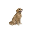 thumbnail image 3 of Garden Decor Animal Statue Sitting Golden Retriever Statue, 3 of 5
