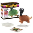 thumbnail image 3 of Dinosaur Classic Chia Pet Handmade Decorative Planter by JEI, 3 of 7