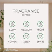 Air Wick Automatic Air Freshener Spray Kit (Gadget + 1 Refill), Summer Delights, Essential Oil