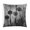 Pattern-3, variant on Pillowcase Black And White Dandelions Linen Pillow Cover Vintage Flower Soft Throw Pillows for Couch Home Decor Throw Pillows Cover 16"x16"