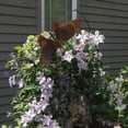 thumbnail image 5 of Hanging Butterfly, 5 of 5