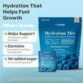 thumbnail image 2 of TruHeight Hydration Packets (Blue Raspberry) Kids, Teens & Adults Fast Hydration, Energy & Recovery - Dehydration Relief Electrolytes Powder Packets for Athletes - Sugar Free, Zero Calorie, Non-GMO, 2 of 8