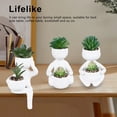 thumbnail image 3 of Pot Succulent Simulé, Pot Succulent Créatif pour Décoration Intérieure, 3 of 8