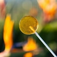 thumbnail image 4 of Sparko Sweets Natural Bee Pollen Honey Lollipops, 18 Pieces, Made in USA, No Artificial Ingredients or Corn Syrup, 0.75 Pound - Rich in Antioxidants, Perfect for Tea, Sore Throats, and Wholesom, 4 of 5